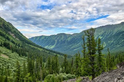 Dark coniferous mountain taiga in Eastern Siberia Stock Photos