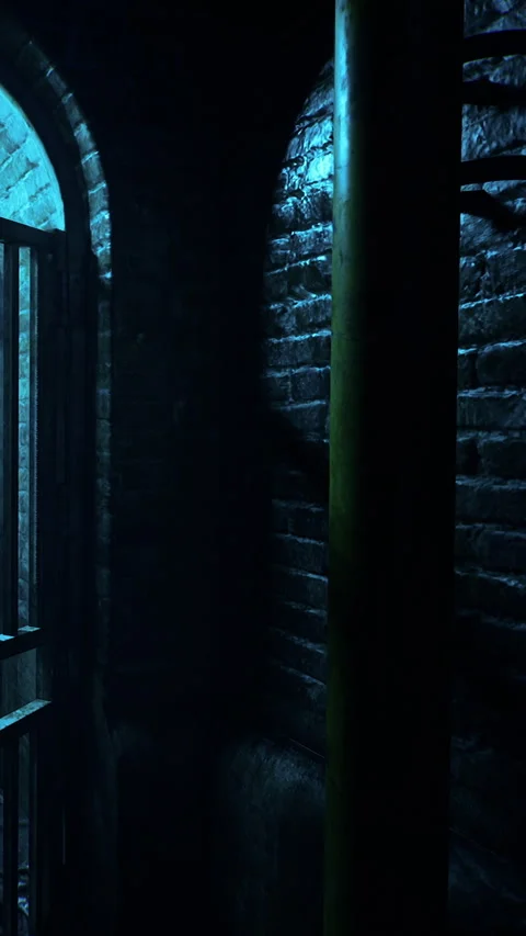 Dark corner of an old brick tunnel with a barred gate in the background Stock Footage 340259729