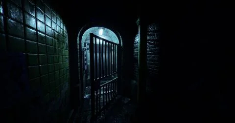 Dark corridor with a gate and eerie lighting in an abandoned building Stock Illustration