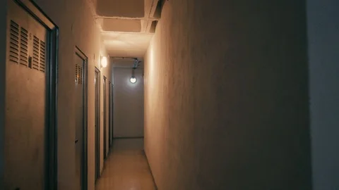 Dark Corridor Many Doors Stock Footage 102037908