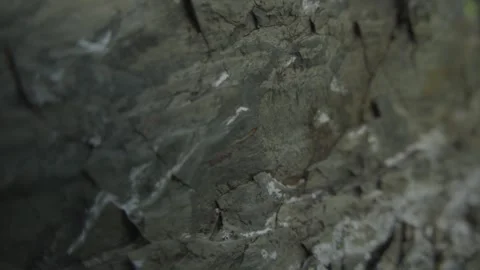 Dark Cracked Rock Surface with Green Moss Highlights Stock Footage 289842748