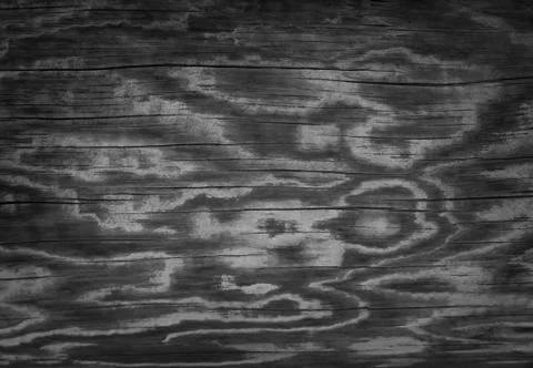 Dark crumpled texture. Stock Photos
