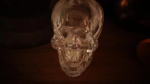 Dark Crystal Skull 스톡 사진