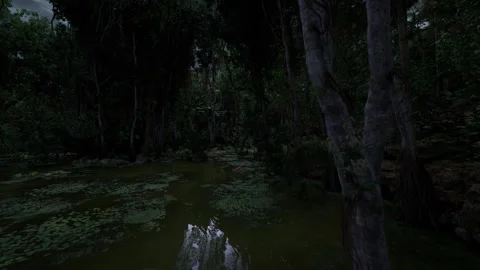 Dark cypress swamp illuminated by moonlight with mist and reflection Stock Footage 334340026