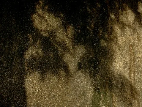 Dark Damp Asphalt Ground with Tree Shadow Pattern, Moody Urban Texture Back.. Stock Photos