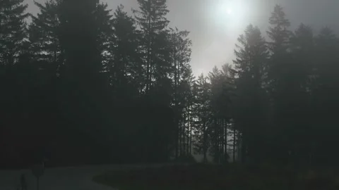 Dark day cloudy weather flying into the fog drone shot Inspire2 4k Stock Footage 252500234