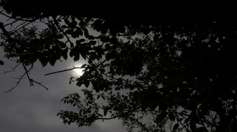 Dark daylight Stock Footage 50142655