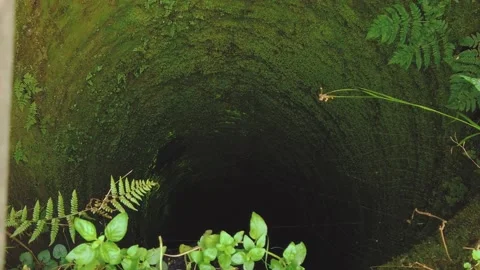 Dark deep old well overgrown with green moss, top view Stock Footage 157818291