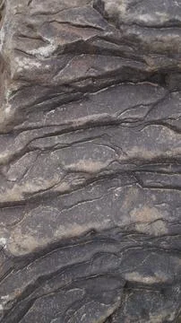 Dark, Deeply Grooved Tree Bark Texture Stock Photos