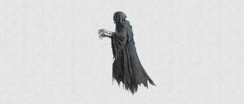 Dark Dementor Ghost Skeleton Alpha Loop Stockbeeldmateriaal 335712828