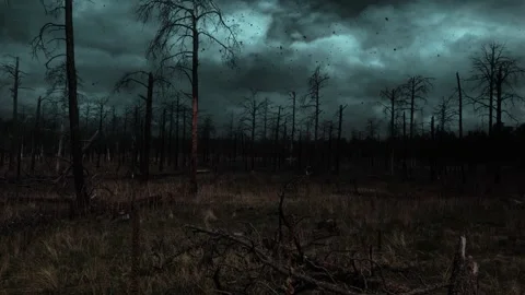 Dark Desolate Forest Ash Falling Lightning 4K Stock Footage 325455466