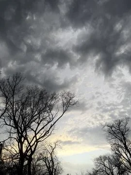 Dark Dramatic Clouds Above Bare Winter Trees Stock-Fotos