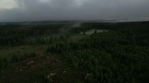 Dark Dramatic Foggy Forest Mist Covering Fields And Forest Sunrise During Summer Stock Footage 232933568