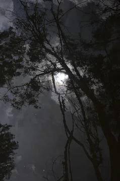 Dark dramatic landscape Stock Photos