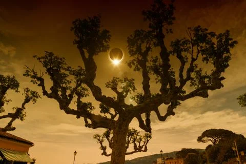 Dark dramatic scientific background - total solar eclipse Fotos Stock