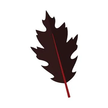 Dark Dry Oak Leaf Vector Illustration Graphic 库存插图