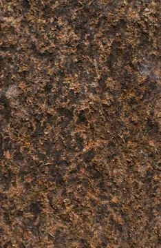 Dark Dry Tree Bark Texture Background with Natural Organic Wood Pattern Stock Photos