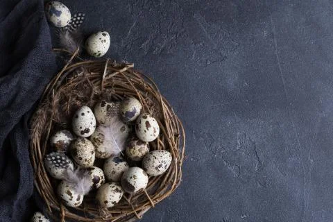 Dark Easter background 스톡 사진