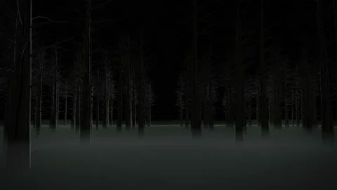 Dark Empty Forest with Fog at Night Moon Light with Dolly Zoom Effect Stock Footage 205440480
