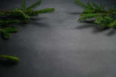 Dark empty table with green branches of Christmas tree in distance along edge Stock Photos