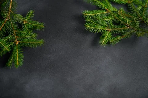 Dark Empty Table with Green tree Branches Around Edges Foto stock