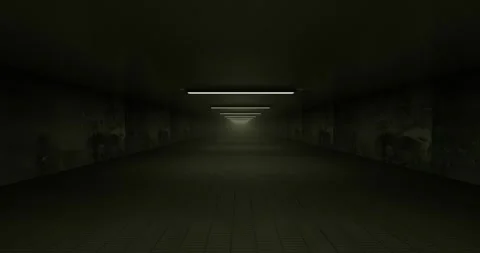 Dark Empty Tunnel Corridor with Fluorescent Lights looping animation Stock Footage 332338286