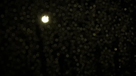 Dark evening behing wet window. Stock Footage 252539532