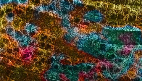 Dark Exotic Multicolor Abstract Background With Reptile Scale Grunge Textur.. Stock Illustration