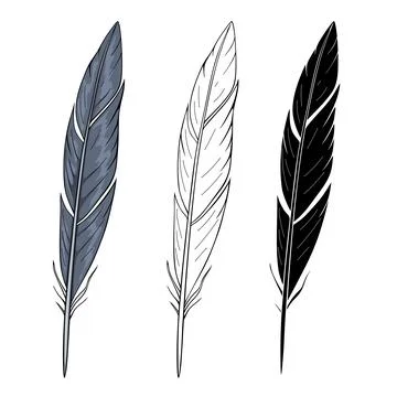 Dark feather, vector illustration on white background Stock Illustration