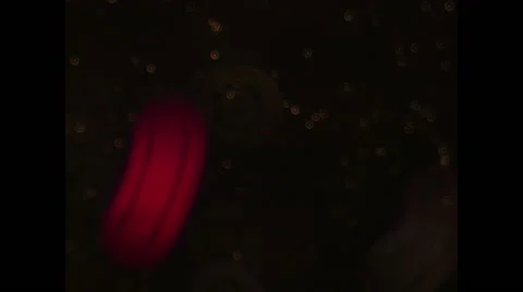 Dark field microscope rack focus effect 스톡 동영상 68635963