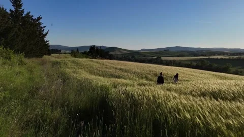 Dark Fields and Sky with Sunset Light Breaking Horizon Vidéo 347491235