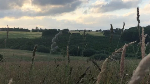 Dark Fields Cloudy Sunset 4K Green Nature Stock Footage 114775739