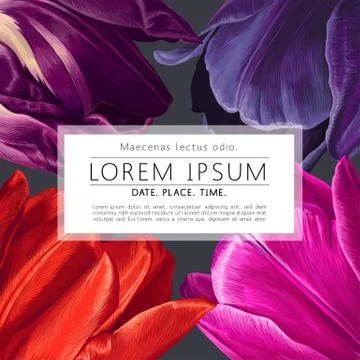 Dark Floral Frame Tulips Illustrazione stock