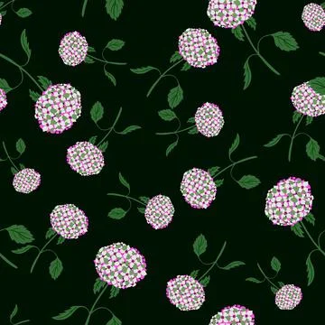 Dark floral seamless pattern with hydranges flower pink random silhouettes. B Stock Illustration