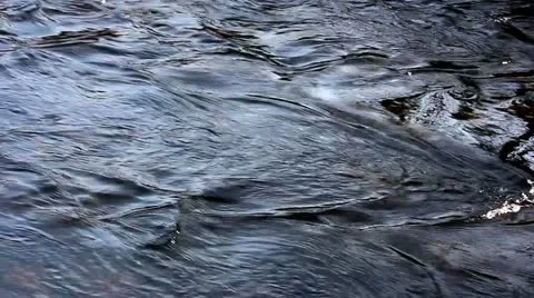 Dark flowing water in the forest Stock Footage 22075805