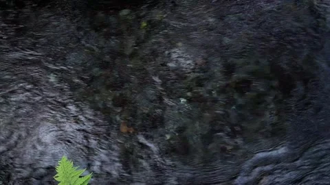 Dark flowing water with ripples Stock Footage 341679210