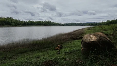 Dark fluffy blue rain clouds forming over floating lakeside during rain seaso Stock Footage 97978485