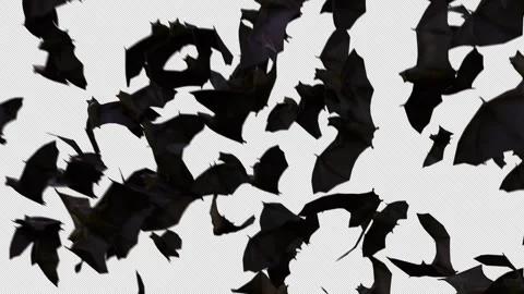 Dark Flying Bats on Transparent Alpha Video stock 346861542