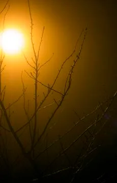 Dark Fog Stock Photos