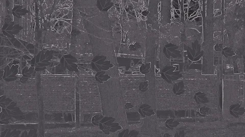 Dark Foliage With Effect Of Falling In Move On Sketch Artwork With Flash Stock Footage 91357738