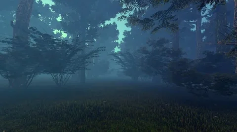 dark forest. 3d animation | Stock Video | Pond5