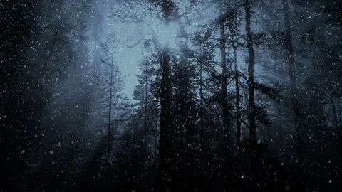 Dark Forest And Falling Snow 库存影片 99656643