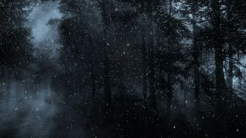 Dark Forest And Falling Snow 스톡 동영상 99657061
