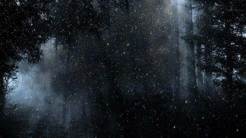 Dark Forest And Falling Snow Vídeos de archivo 99657288