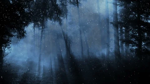 Dark Forest And Falling Snow 库存影片 99657418