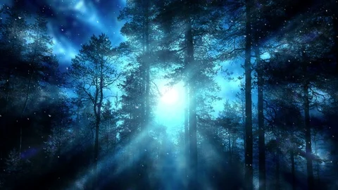 Dark Forest And Falling Snow Vidéo 99817856
