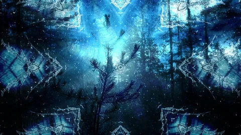 Dark Forest And Falling Snow Vidéo 99817987