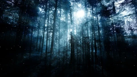 Dark Forest And Falling Snow Stockbeeldmateriaal 99819851