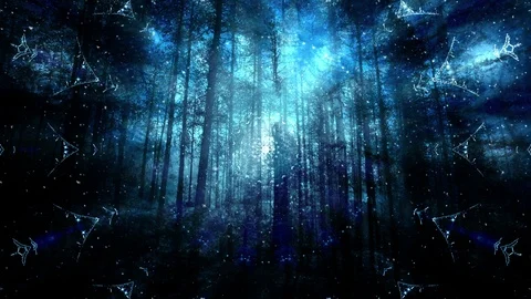 Dark Forest And Falling Snow Stock Footage 99820193