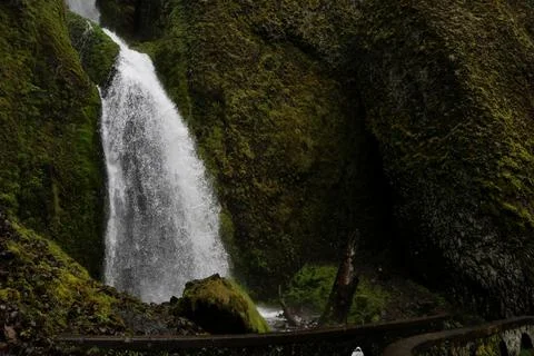 A dark forest bridge crossing in front of a rushing white waterfall Stock Photos